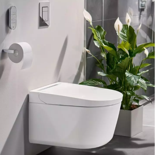 Klozetai ir jų tipai: kaip išsirinkti tinkamiausią modelį savo vonios kambariui